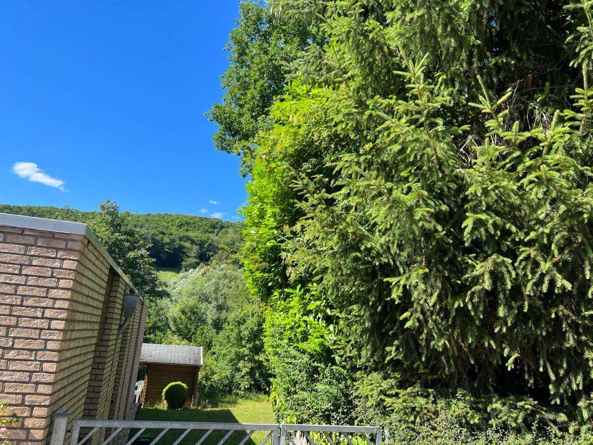 Gaestehaus Zum Buchenweg Hasenfeld Exteriér fotografie